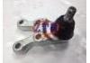 Ball Joint:54550-H1000